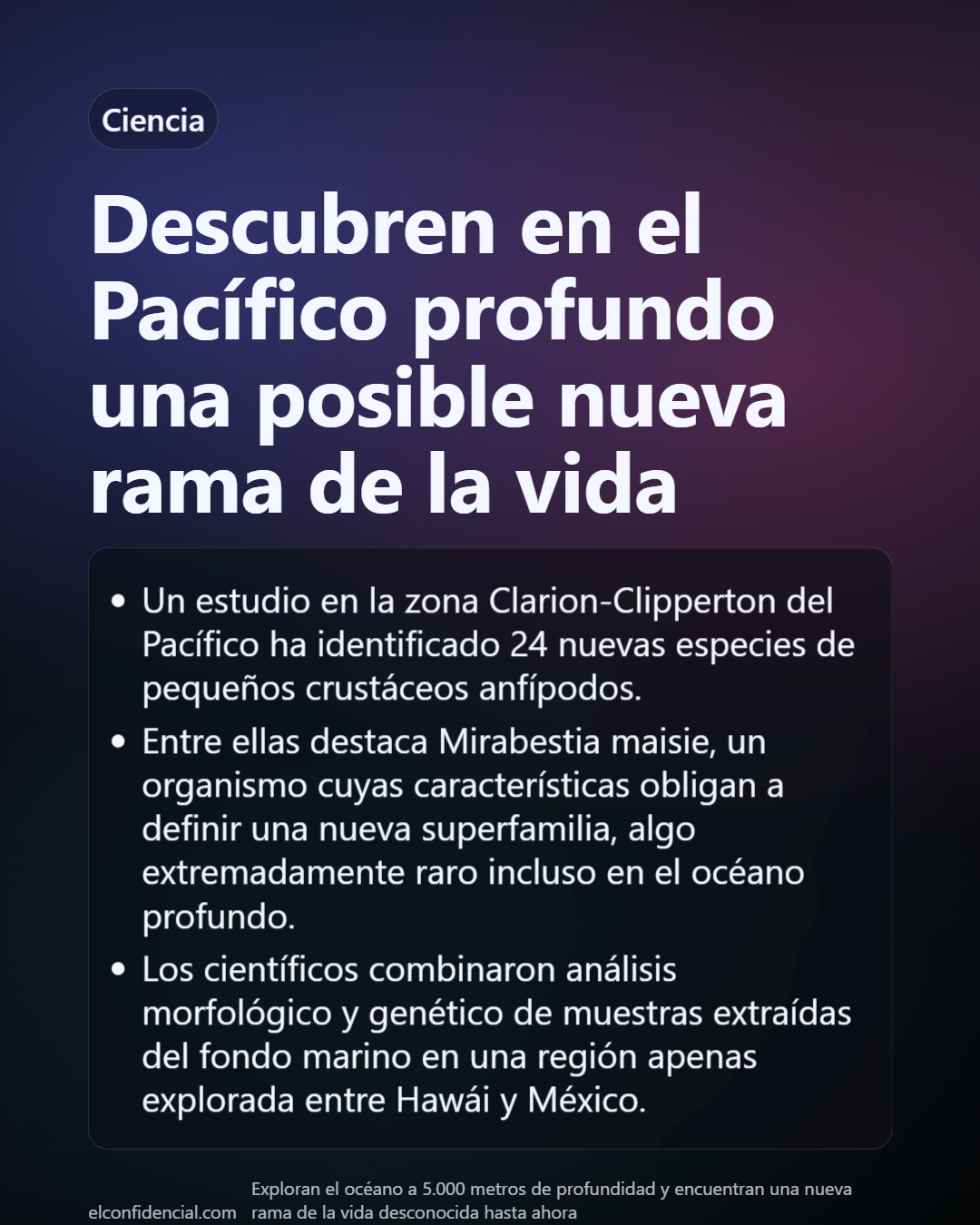 Slide 28