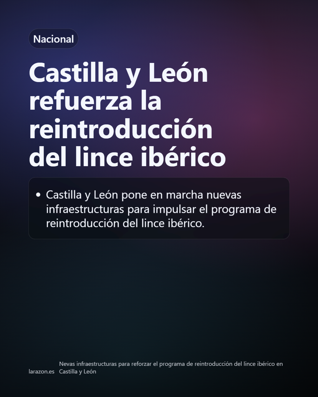 Slide 13