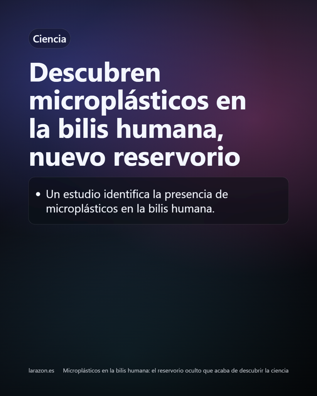 Slide 31