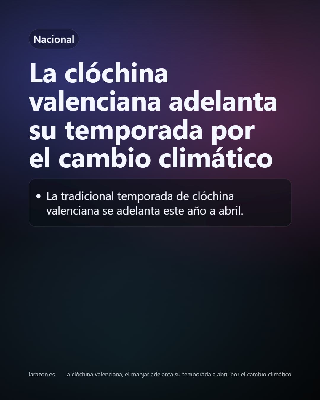 Slide 13
