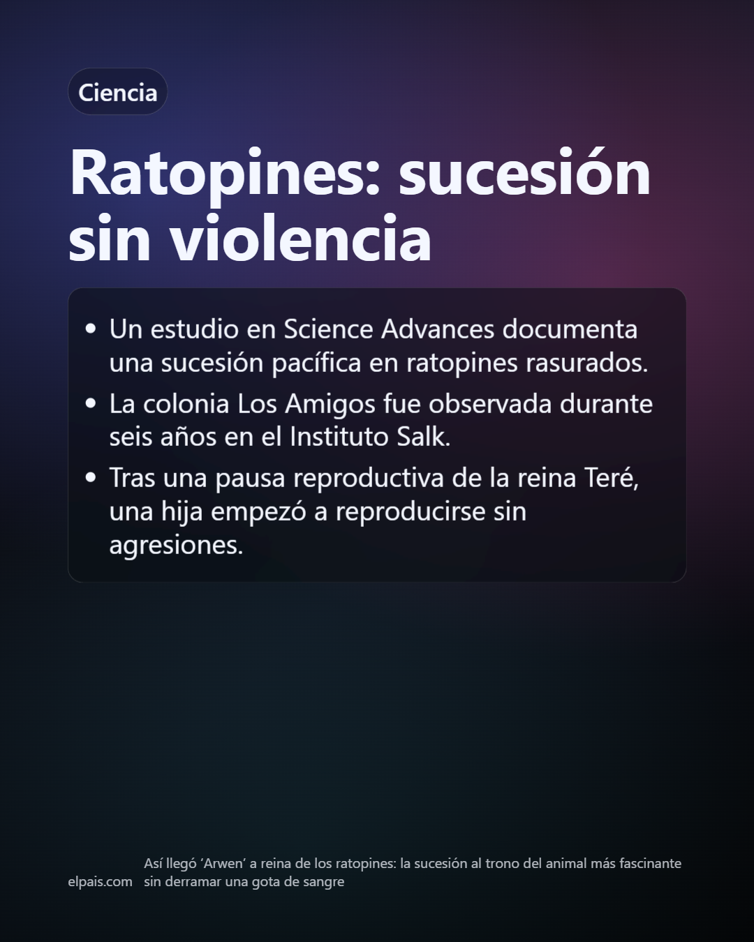 Slide 29