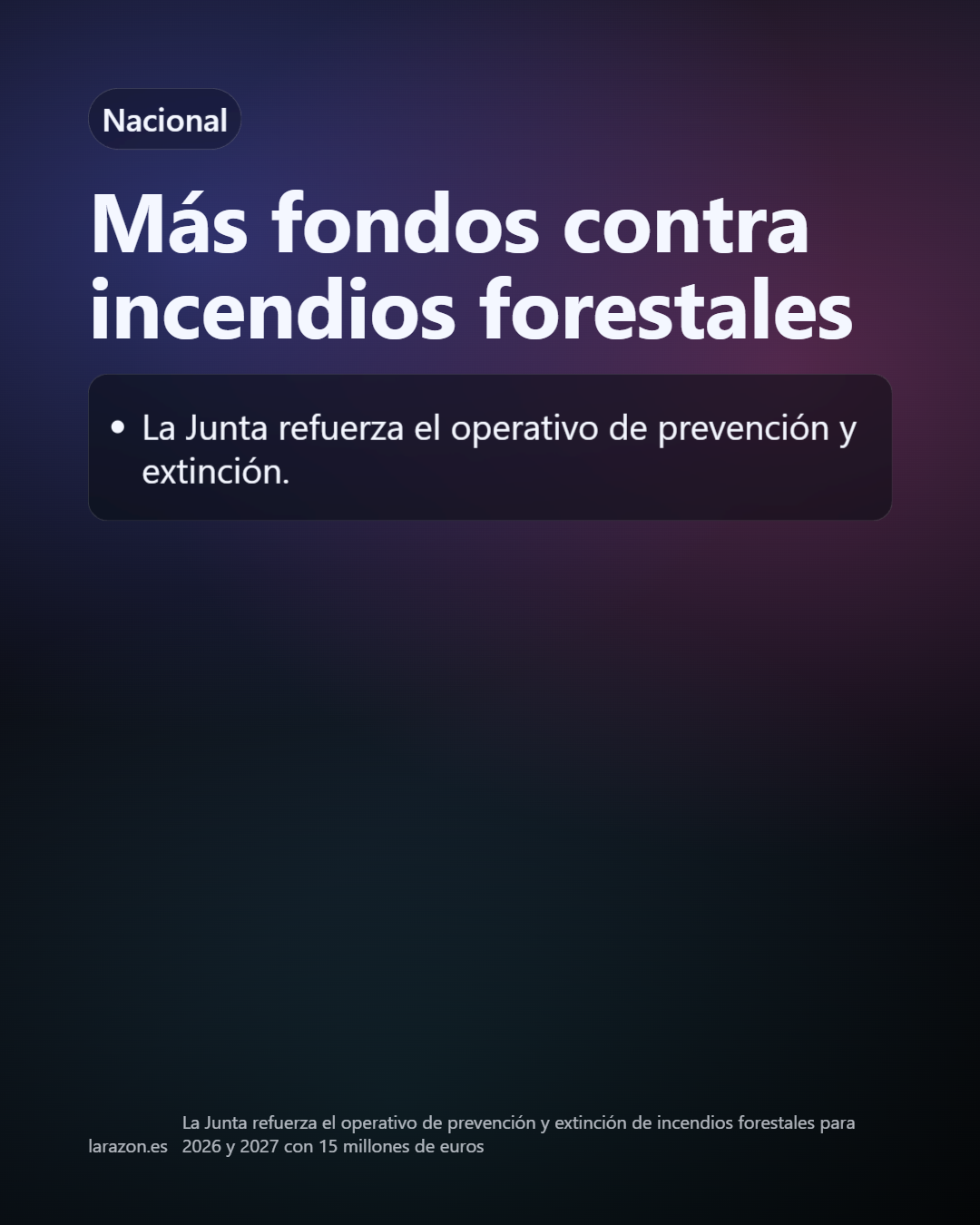 Slide 11