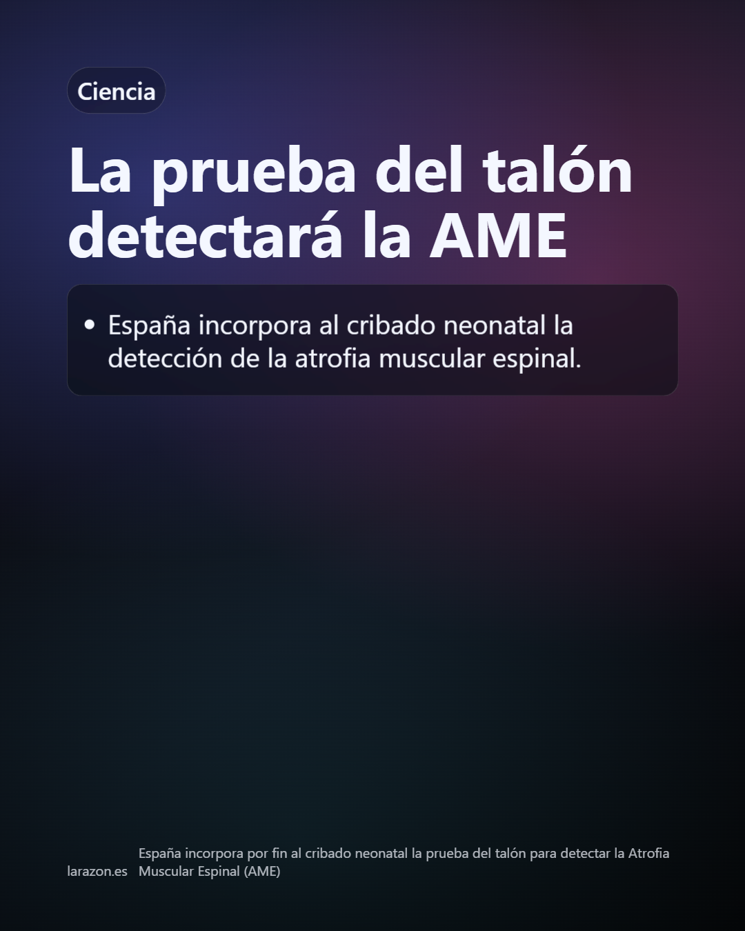 Slide 26