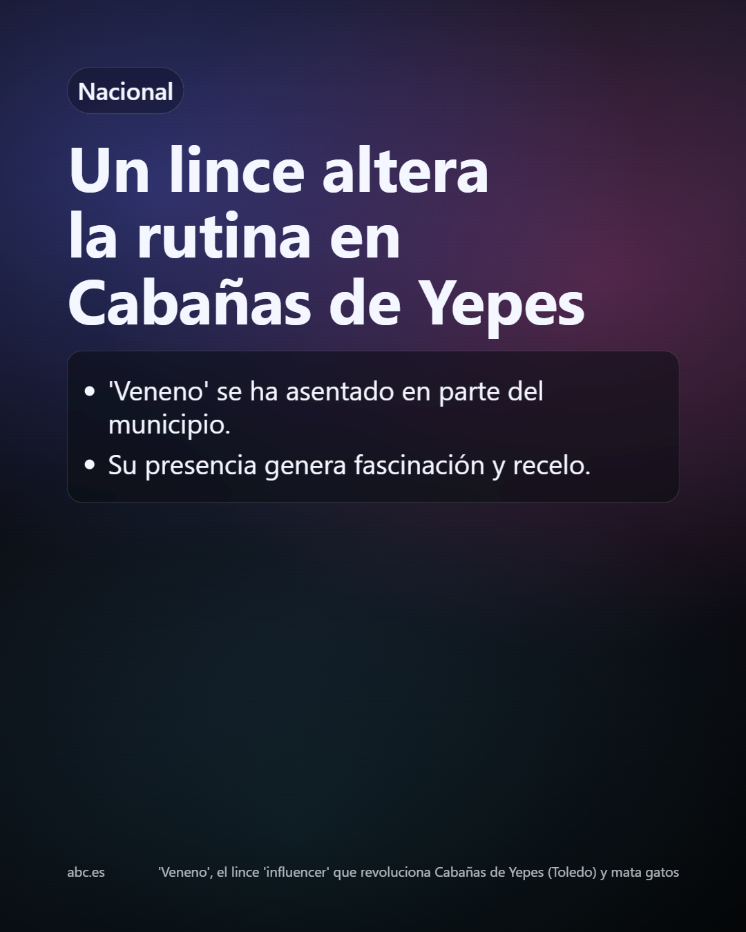 Slide 12