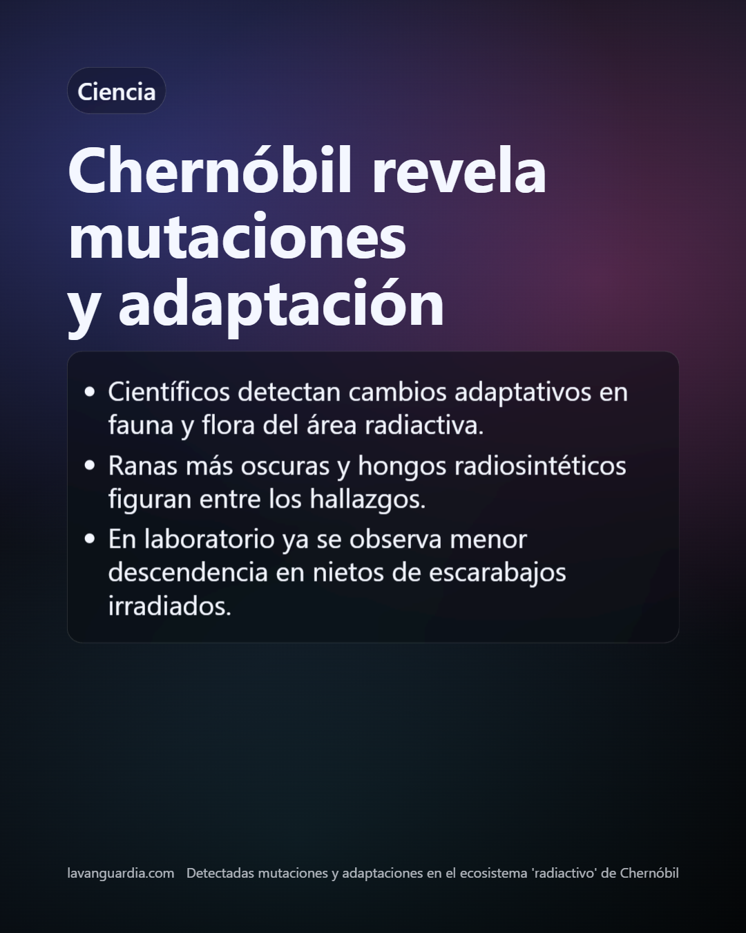Slide 22