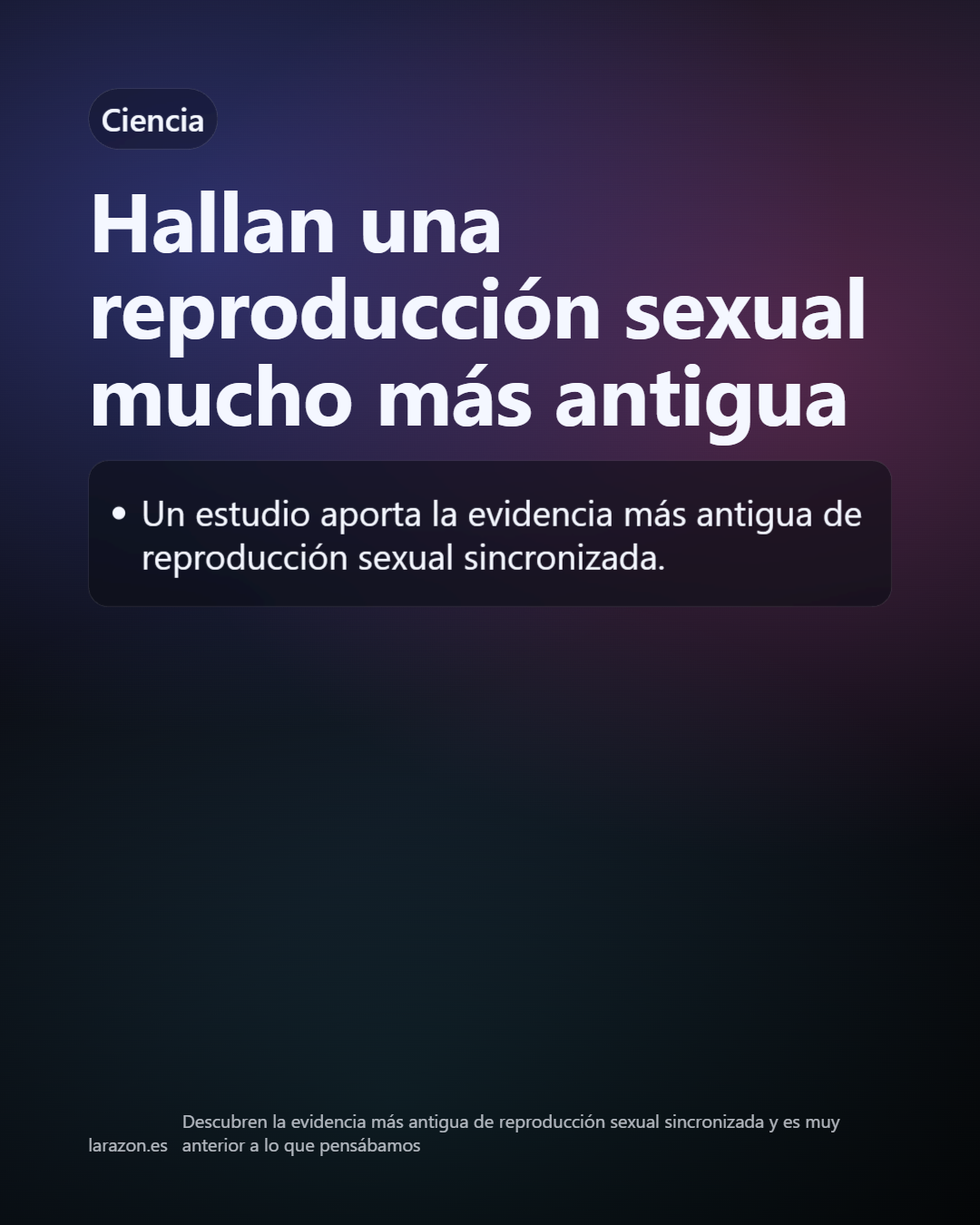 Slide 29